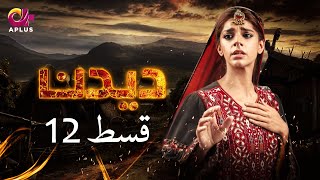 Deedan  Episode 12  Aplus Dramas  Sanam Saeed Mohib Mirza Ajab Rasheed  Pakistani Drama [upl. by Llenrac987]