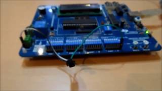 Demo  LM35 to AVR Atmega32  Interfacing [upl. by Auhso832]