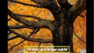 Les feuilles mortes par Yves Montand [upl. by Yonina]