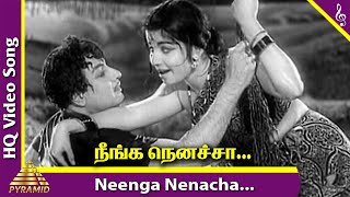 Neenga Nenacha Video Song  Kanavan Movie Songs  M G R  Jayalalitha  M S V  Pyramid Music [upl. by Colet]