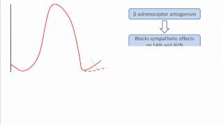 Class II antiarrhythmics [upl. by Assetal]