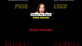 Think twice before your release the pigeon 🐦 BimBamGaming pilgrim scaryvideogames horrorgaming [upl. by Opalina648]