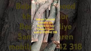 Babool firewood kharidne aur Bechne ke liye Sampark Karen mobile 9781942 318 [upl. by Thornburg]