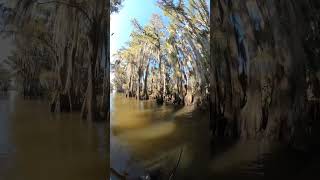 Caddo Lake Government Ditch [upl. by Nixon]