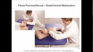 Genu Manual Therapy Test and Mobilization Treatment Techniques [upl. by Avat]