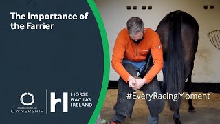 Importance of the Farrier  Racing Explained [upl. by Airrej]