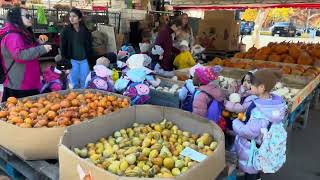 Canada Montreal Jean Talon Market [upl. by Kiersten]