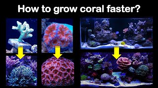 Are your corals not growing fast enough Let me see if I can help [upl. by Alletnahs]