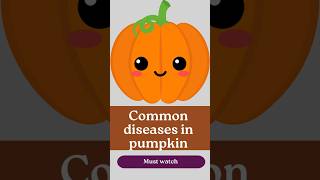 Common diseases in pumpkin cultivation [upl. by Ydnirb]