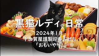 202401黒猫ルディの日常★千賀屋謹製迎春おせち料理紹介 [upl. by Archle438]