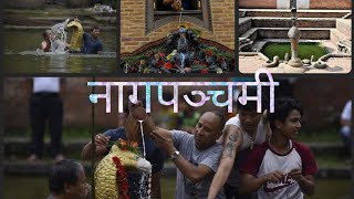 नागपञ्चमी  Nag Panchami  Festival In Nepal  History Of Nag Panchami [upl. by Birch871]