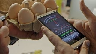 Egg Scan  DoubleYolk Egg Detector Phone App [upl. by Ainel281]