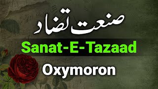 Sanat E Tazad Example In Urdu  Sanate Tazad Ki Tareef  Urdu Grammar  صنعت تضاد [upl. by Mady]