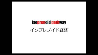 理系英単語リズミクス isoprenoid pathway [upl. by Iznik843]