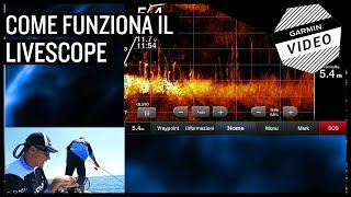 Come funziona il trasduttore Panoptix LiveScope [upl. by Diver699]