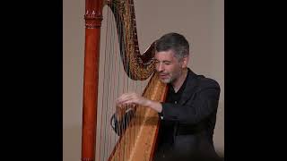 bach Bachs Toccata on the harp livemusic classicalmusic harpist [upl. by Lymn141]