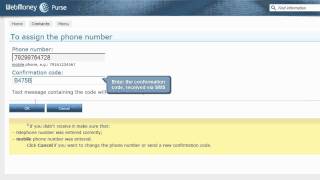 WebMoney Keeper Mini How to increase limits [upl. by Aylmar999]