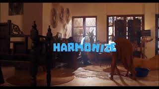 Harmonize  Amelowa  Official Music Video [upl. by Yonit]