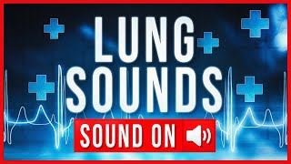 REAL LUNG SOUNDS  ASSESSMENT [upl. by Eaner]