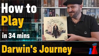 How to play Darwins Journey boardgame  Full teach  Visuals  Peaky Boardgamer [upl. by Nobe]