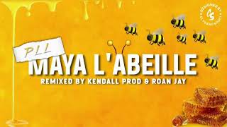 Pll  Maya labeille remix [upl. by Danell402]