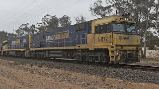 4PM6 PN quotLinfox Express 2quot NR72 NR16 NR105 Perth to Melbourne 1440 91124 Stawell West VIC [upl. by Susejedairam33]