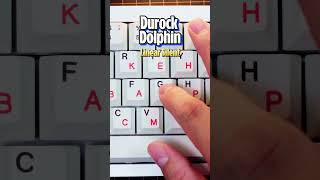 Silence Meets Smoothness Dive into Durock Dolphin Linears shorts keyboard asmr [upl. by Aimerej]