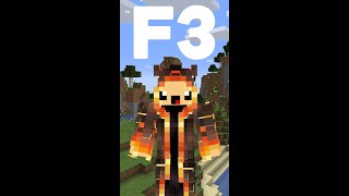 All of Minecrafts F3 Hotkeys Explained [upl. by Eciuqram]