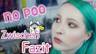 No Poo  3 und vorerst letztes Update [upl. by Selena]