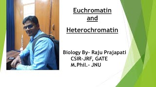 Euchromatin amp Heterochromatin [upl. by Eerized]