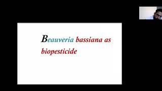 Beauveria bassiana as biopesticide [upl. by Nilorac617]