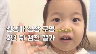 육아 VLOG 신생아 심장 구멍 신생아 심잡음 진단 후 28개월차 검진 결과 심방중격결손 심실중격결손 [upl. by Jeno177]