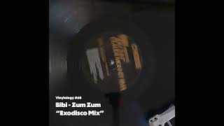 Bibi  Zum Zum Exodisco Mix [upl. by Fessuoy642]