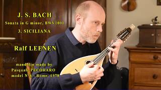 BACH  Sonata in g minor BWV1001  SICILIANA  Ralf LEENEN [upl. by Phares993]