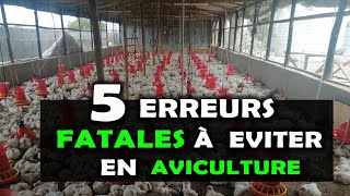 AVICULTURE Voici 5 Erreurs à éviter avant de se lancer dans lélevage de poulet Chair ou Pondeuse [upl. by Drarrej]