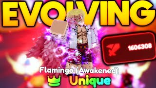 Obtaining UNIQUE SSS Flamingo Evo In Anime Adventures Version 14 [upl. by Anima898]