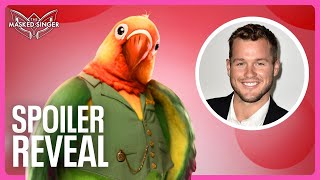 Spoiler Reveal Lovebird is Colton Underwood  Season 11  The Masked Singer Spoilers [upl. by Soilissav]