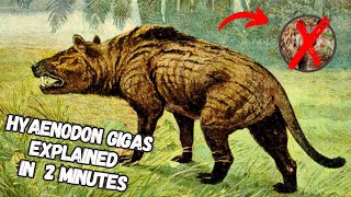 Hyaenodon Gigas You Might Be Misled By This Prehistoric Predator [upl. by Enyrb]