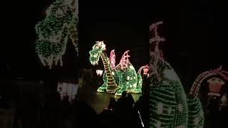 mainstreetelectricalparade at disneyland in 2017 disneyparks disney part20 petesdragon light [upl. by Tiossem215]