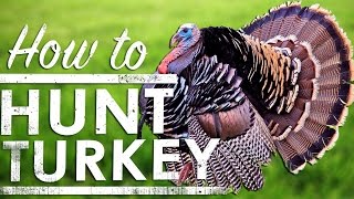 Turkey Hunting Tips How To Hunt Turkey  The Sticks Outfitter  EP 36 [upl. by Angelis897]