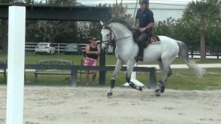 Nick Skelton  Walsh Training Line 3 [upl. by Penney]