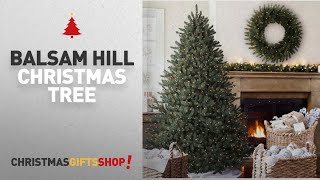 Most Popular Balsam Hill Christmas Tree Balsam Hill Classic Blue Spruce Artificial Christmas Tree [upl. by Sivia11]