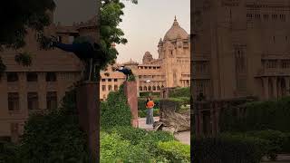 Mann mor bani thanghat kare ♥️ •jodhpur umaidbhawanpalace travel tajhotels nature trending [upl. by Yle]