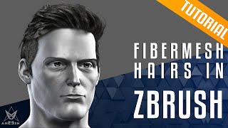 Zbrush Fibermesh  How to create hairs in Zbrush using fibermesh [upl. by Tobin380]