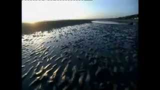 Omaha Beach DDay 6 June 1944 [upl. by Llerrud]