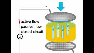 Electroosmosis within HydroBot technology [upl. by Ettelimay195]