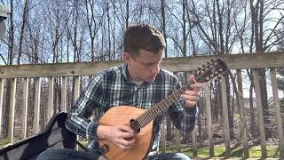 Irish Traditional Music Foggy Dew Played on Mandola [upl. by Tartaglia169]