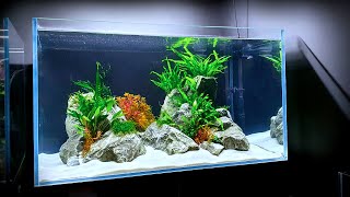 FRESHWATER REEF  5 minute Aquarium Builds  STEP BY STEP [upl. by Morissa]