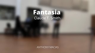 Fantasia for alto saxophone Claude T Smith Houston Underground Competition [upl. by Auhso]