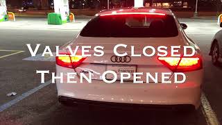 ANGRY Audi RS7 Valvetronic exhaust CRAZY revs amp shooting flames  Street racing other Audis [upl. by Cherian6]